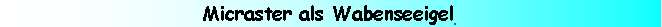 Textfeld: Micraster als Wabenseeigel##